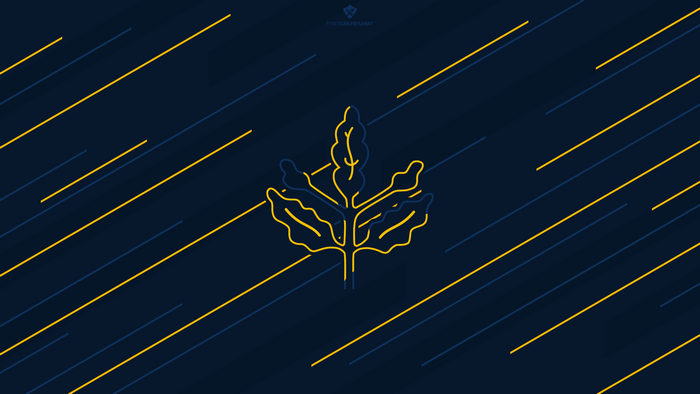 Fenerbahçe S.K. Stylized Leaf Emblem with Diagonal Lines