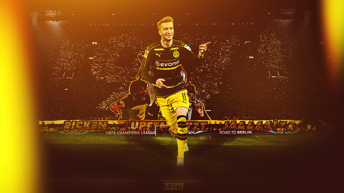 Marco Reus celebrates for Borussia Dortmund in stadium