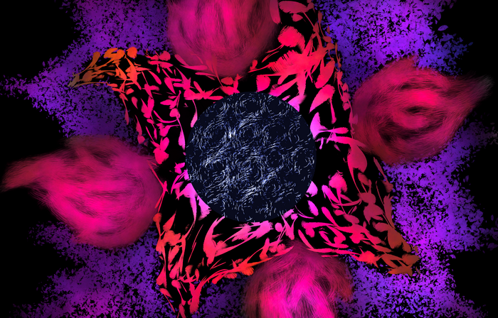 The Rarest Flower: Vibrant Star with Fluffy Pink Petals