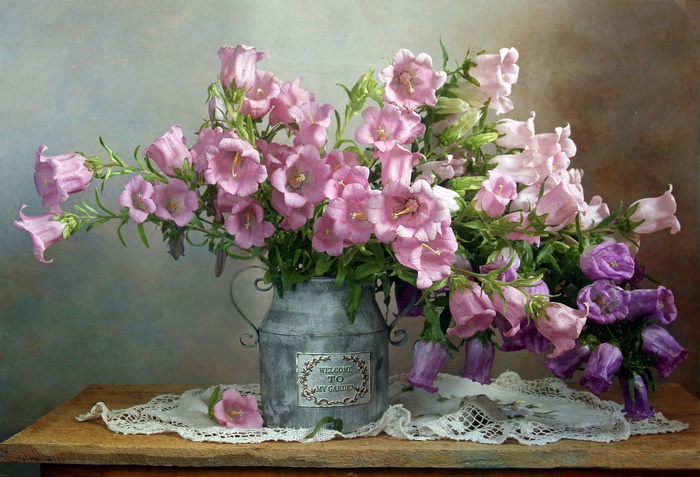 Pink and Purple Bellflowers in Rustic Pitcher Still Life