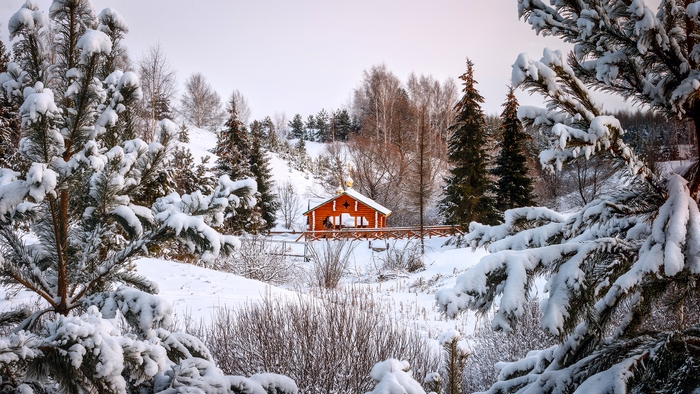 Red Cabin in Snowy Winter Forest