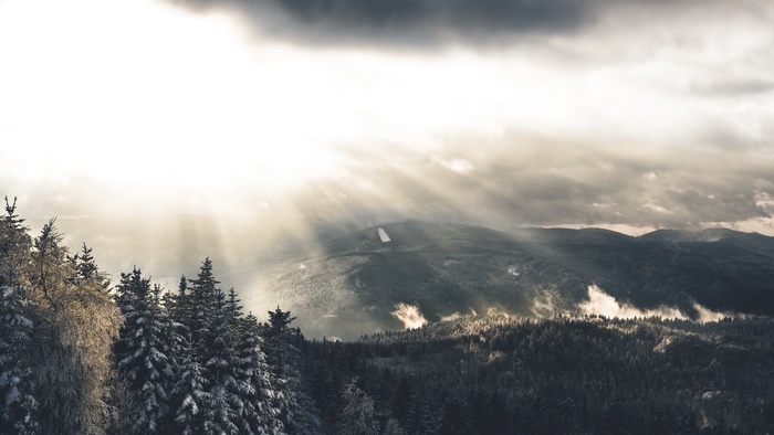 Dramatic Sunbeams over Winter Forest Landscape 4K