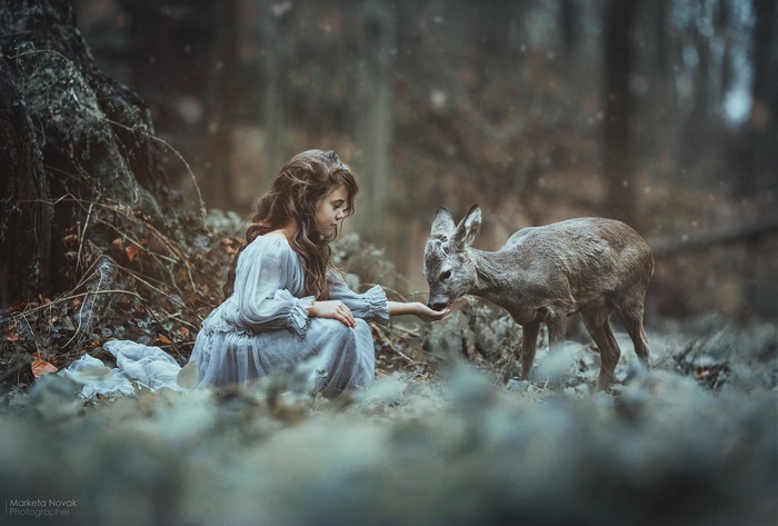 Photography Child HD, Little Girl, Baby Animal, Deer, HD Wallpaper ...