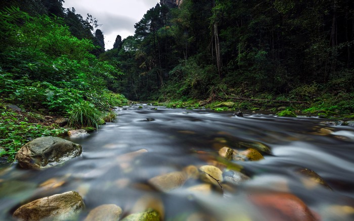 Long exposure river in a lush Chinese forest