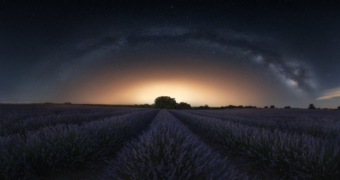 Milky Way and Sunset Glow over Lavender Field