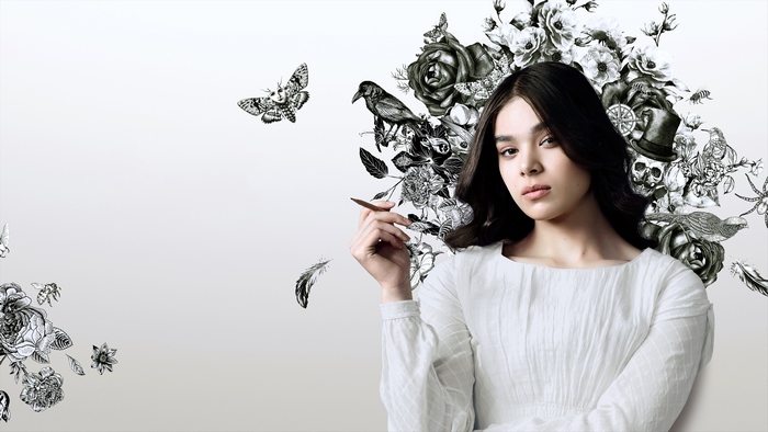 Hailee Steinfeld Portrait with Detailed Illustrations