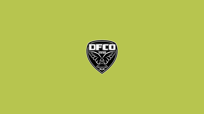 Dijon FCO Soccer Logo Owl