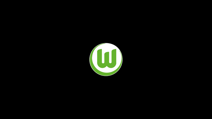 VfL Wolfsburg Soccer Club Logo Emblem