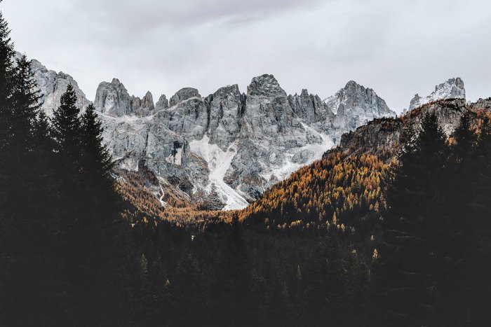 Rugged mountains and golden autumn forest