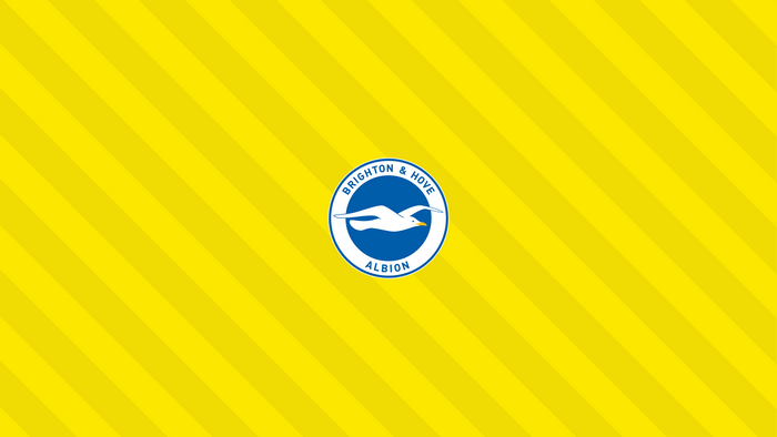 Brighton & Hove Albion F.C. Soccer Logo Yellow Stripes