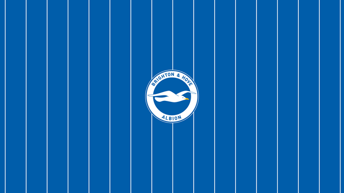 Brighton and Hove Albion F.C. Blue Striped Logo