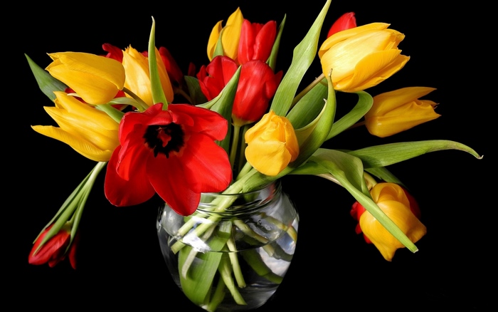 Red and yellow tulips in a glass vase
