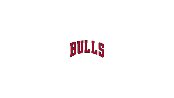 Chicago Bulls logo