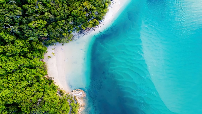 Aerial view of a lush green forest meeting a turquoise ocean coastline