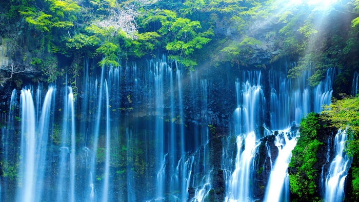 4K Waterfall in a Forest