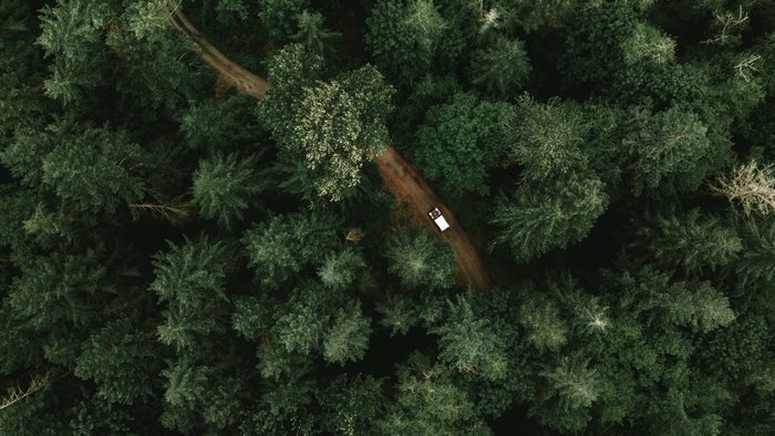 Aerial view of a Jeep driving on a forest road