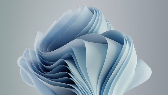 Windows 11 Abstract Design