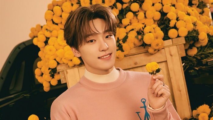 Dino from Seventeen holding a yellow flower