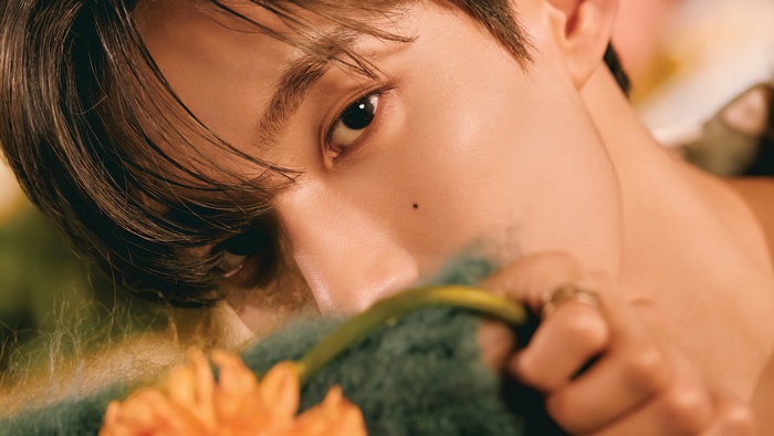 DK from Seventeen, close-up portrait