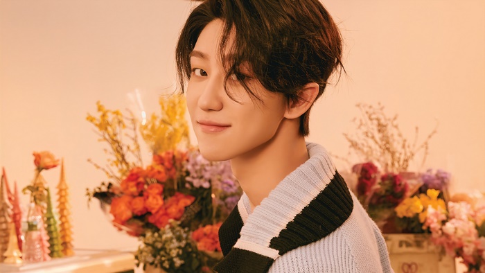 The8 from Seventeen album Your Choice 4K