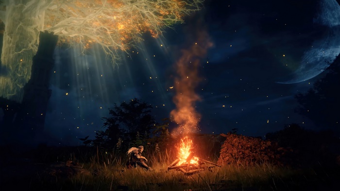 Elden Ring Tarnished by Bonfire at Night