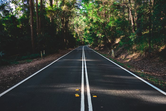 Scenic road through a lush green forest