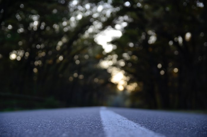 Road with white line and bokeh trees