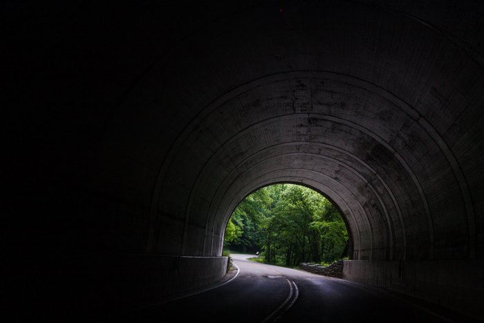 Tunnel exit to a lush green forest road