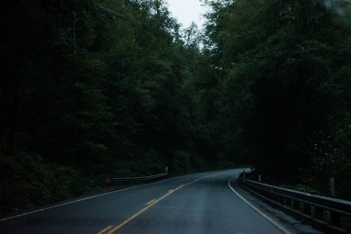 Dark forest road with guardrails