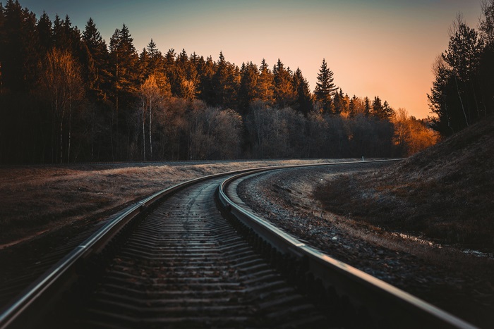 Railroad tracks curve through a forest at sunset