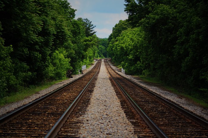 Railroad tracks surrounded by lush green trees