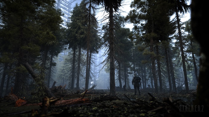 Stalker 2 game forest 4K