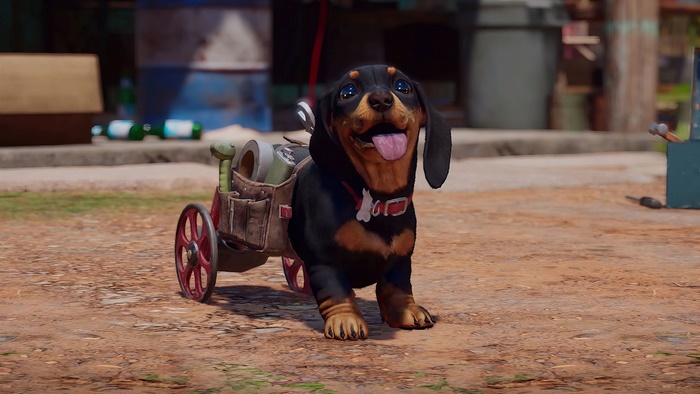 Chorizo from Far Cry 6 in 4K