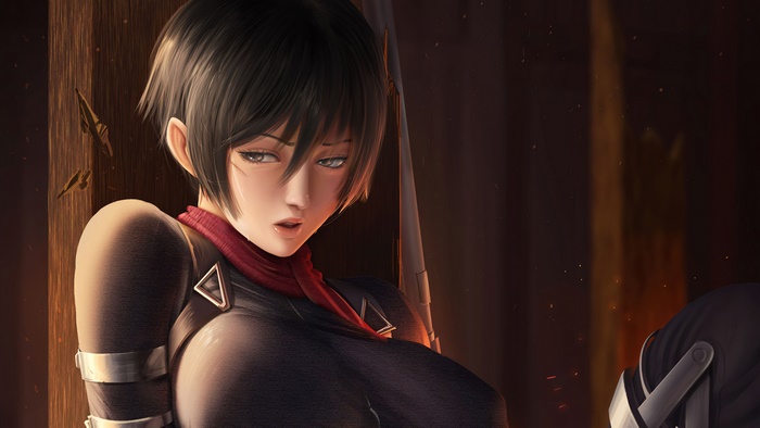 Mikasa Ackerman from Attack on Titan in