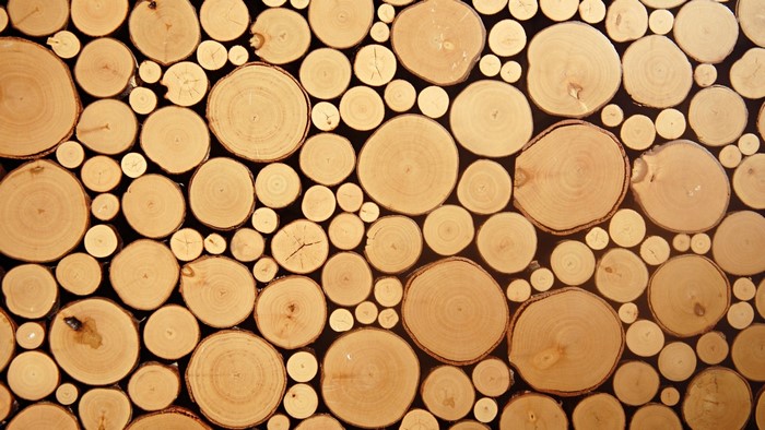Wood HD: A textured background of cut logs