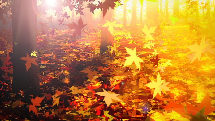Autumn forest with falling leaves 4K