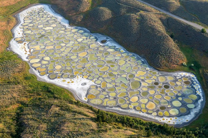 Spotted Lake in Canada