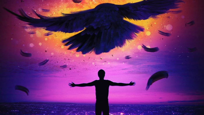 Silhouette of a person with a crow at sunset 4K