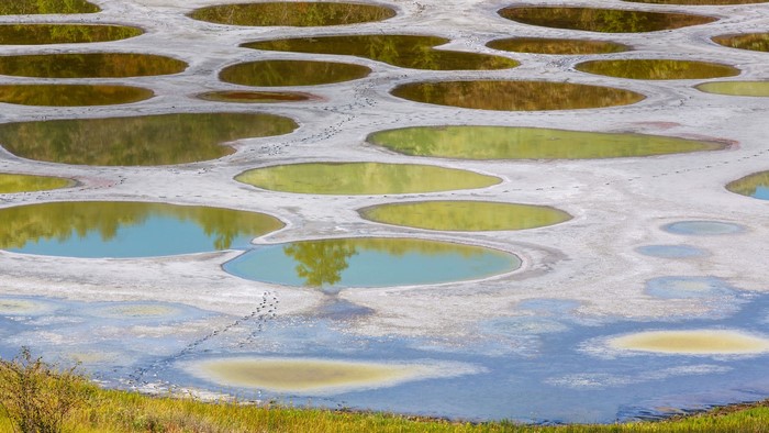 Spotted Lake in Canada