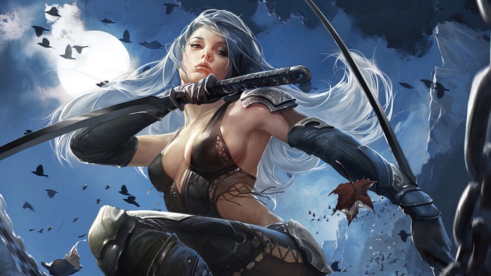 Fantasy warrior girl with katana and sword 4K