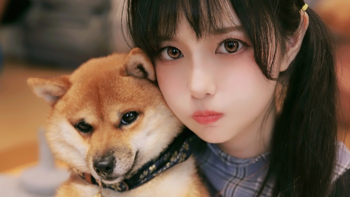 Cute Asian girl with Shiba Inu dog 4K