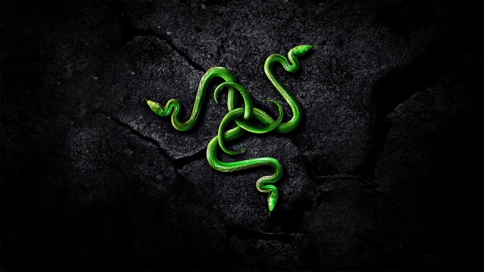 Razer Logo with Green Snakes on Dark Rocks 4K