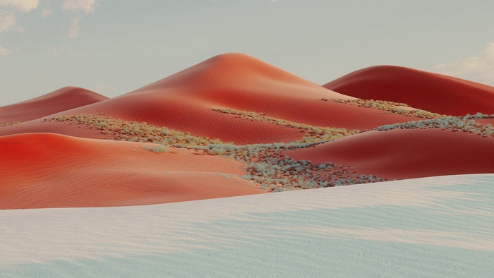 Desert landscape with red sand dunes and sparse vegetation 4K