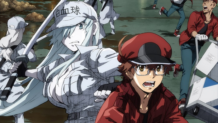 White Blood Cells and Red Blood Cell from Cells at Work! Code Black 4K