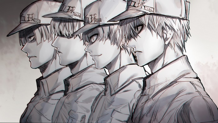 White Blood Cell Cells at Work HD 4K Wallpaper #5.3020