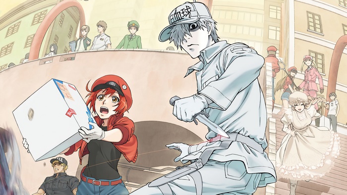 Characters from Cells at Work! 4K