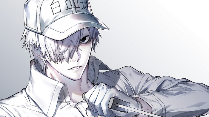 White Blood Cell from Cells at Work! 4K