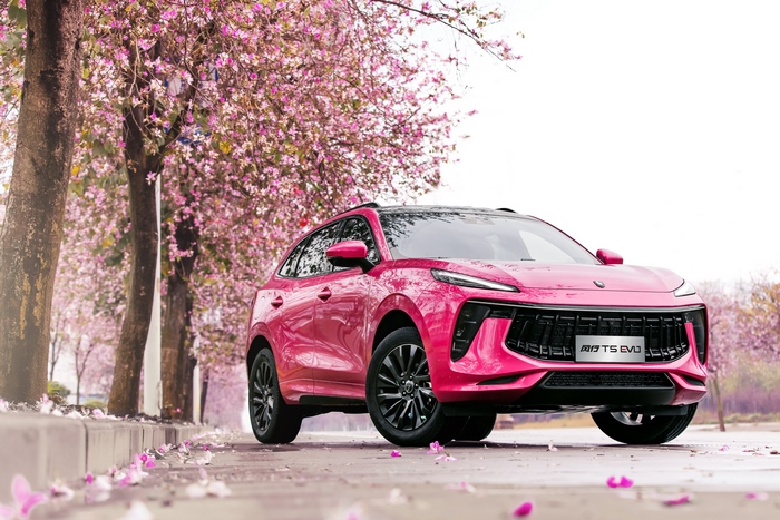 2021 Dongfeng Forthing T5 EVO SUV