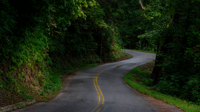 Winding Road Through a Lush Forest in Tennessee