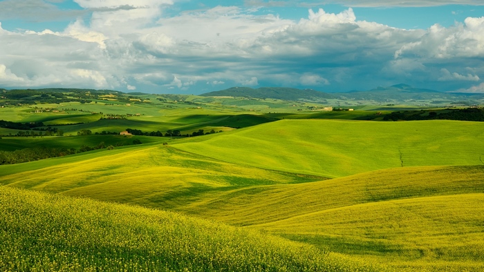 Tuscan Rolling Hills Landscape